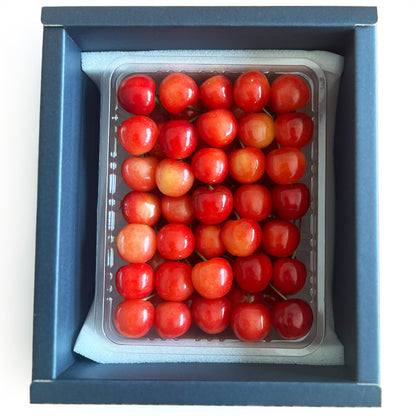 【夏のFRUITSギフト】さくらんぼ佐藤錦1Kg（500g×2）